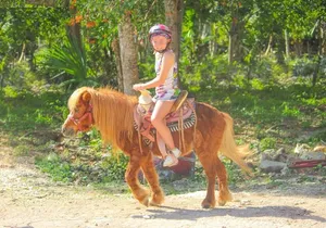 Horseback Riding and Zipline Jungle Adventure