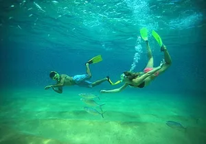 Beach Hopper Small-Group Snorkeling Tour in Los Cabos