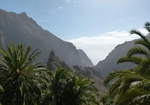 Tenerife Highlights Full-Day Tour