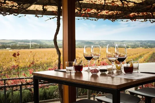 McLaren Vale Wine Tour, Max 6, Chef's menu lunch, from Adelaide
