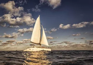 Private Deluxe Lobster Dinner In A Catamaran