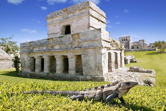 Amazing Tour to Tulum, Coba, Cenote and Playa del Carmen. Transport included