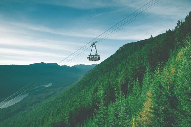 Vancouver Premium Tour: Capilano Bridge + Grouse Mountain Lunch