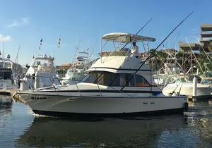 5-Hours Private Fishing Experience in Cruiser in Cabo San Lucas