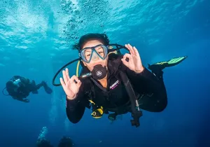 PADI Open Water course in Playa de las Americas