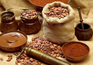 Private Maya Chocolate Ceremony Experience in Cancun