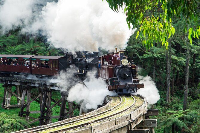 Puffing Billy And Phillip Island Penguin Parade Bus Tour