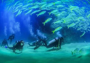 Cabo San Lucas Certified 2 Tank Dive at the Famous Arch and Land's End