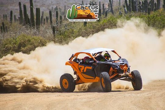 Beach UTV & Camel Ride COMBO in Cabo by Cactus Tours Park