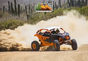 Beach UTV & Camel Ride COMBO in Cabo by Cactus Tours Park