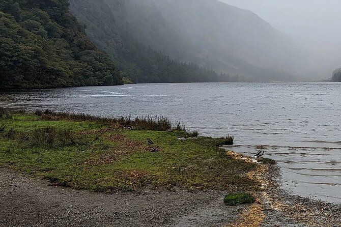 Private Tour of Wicklow, Glendalough & Powerscourt Gardens