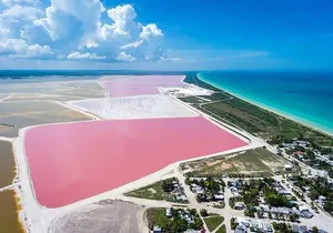 Nature Tour at Las Coloradas and Rio Lagartos Biosphere