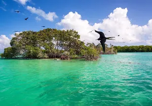 Sian Kaan Biosphere Boat Adventure & Snorkel