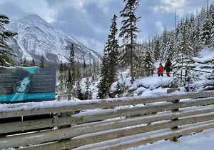 Banff, Yoho, & Kootenay National Parks Billingual Day Trip