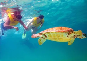 Cancun Best Deal 3x1: Snorkeling, Zip Lines & Rappel