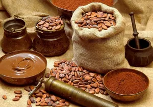 Quintana Roo 5 hours Chocolate Maya Ceremony and Temazcal Maya Ritual Tour