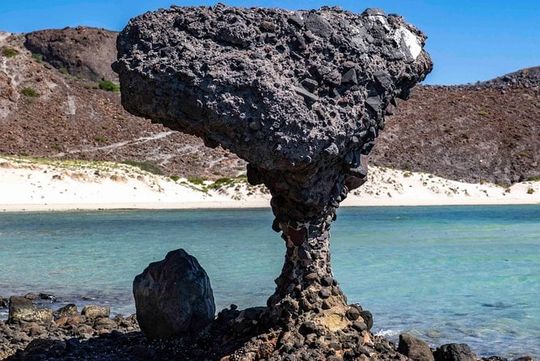 La Paz City Tour from Cabo