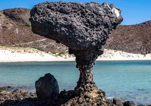 La Paz City Tour from Cabo