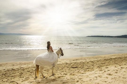 Wedding photographer
