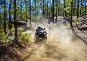Off-Road Quad Tour from Woodlands to Volcanic Heights
