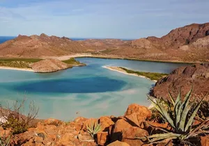 La Paz Paradise: Balandra & beyond