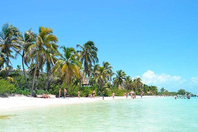 Isla Contoy Hidden Beauty! Transportation from Riviera Maya