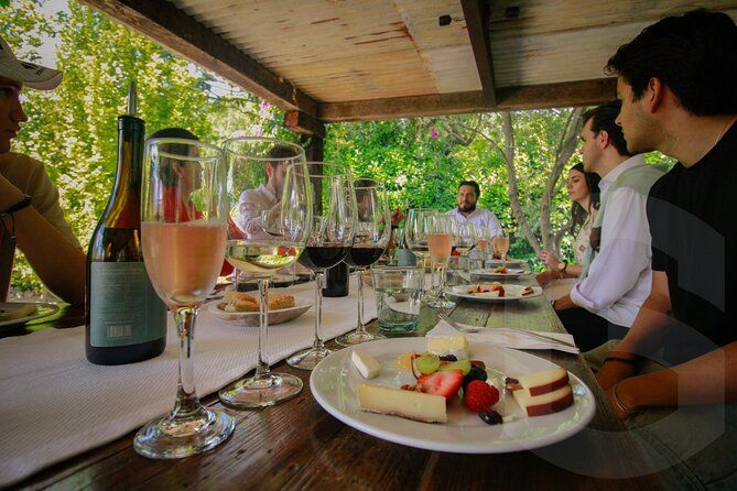 Private Vineyard and Wine Testing Tour From Guanajuato