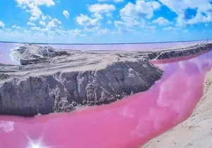 Private Tour: Ek Balam, Pink Flamingos Sanctuary and Tequila Tasting Factory