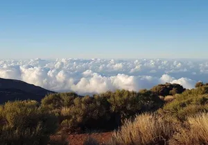 Private Shore Excursion in Tenerife from your Cruise Ship