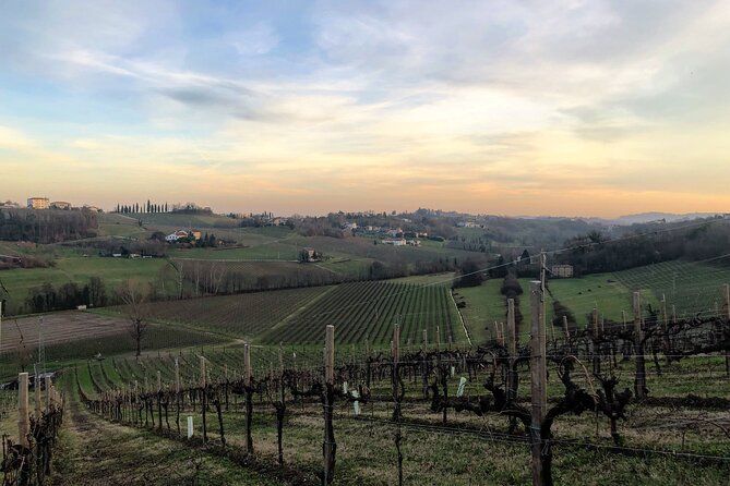 Private Food and Wine Tour on the Prosecco Hills from Venice