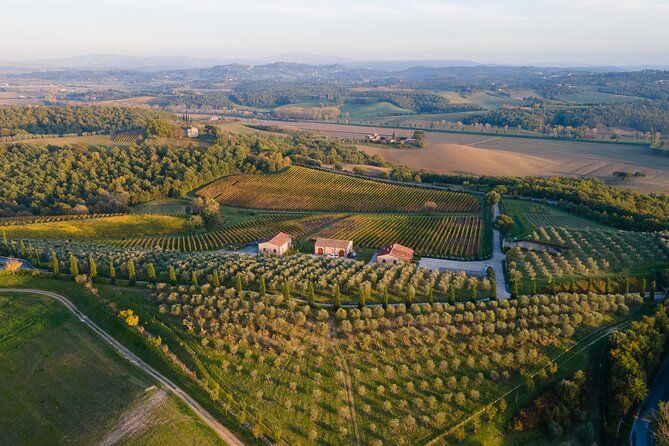 2 Hours Visit and Wine Tasting with tastings in Val D'Orcia