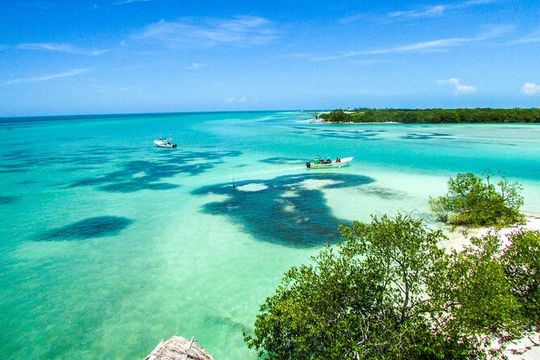 Full Day Holbox Island Tour from Playa del Carmen with Lunch