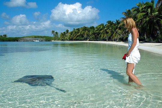 Isla Contoy & Isla Mujeres Tour from Cancun & Playa Del Carmen