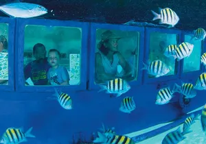 Hop-on Hop-off City Tour Cancun plus Submarine or Bodyboard Experience