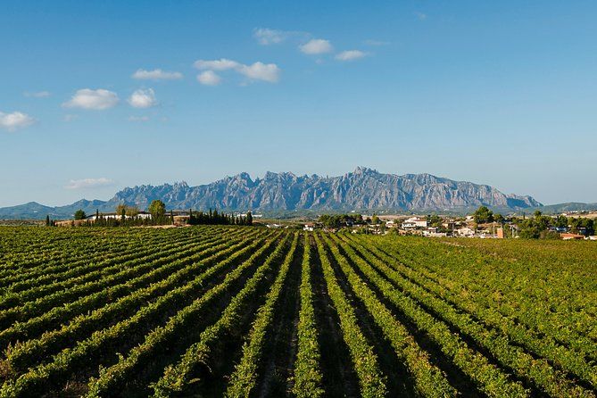 Private Montserrat and Cava Winery Tour with Hotel Pick Up from Barcelona