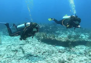 2 Tank Reef Dive in Mexico