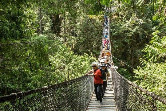 Mesmerizing Nature Walk in Lynn Canyon Park