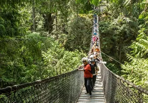 Mesmerizing Nature Walk in Lynn Canyon Park