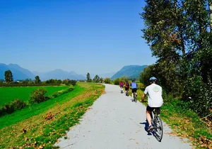 Vancouver Biking and Hiking Tour including Lunch
