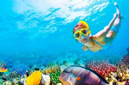 2x1 Tour: Isla Contoy, Isla Mujeres, Open Bar, Lunch and Transfers