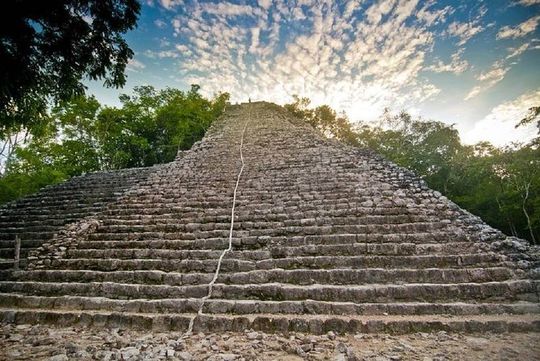 Spider Monkey, Coba and Cenote