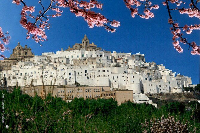 Puglia's White Gems: Private Alberobello & Martina Franca