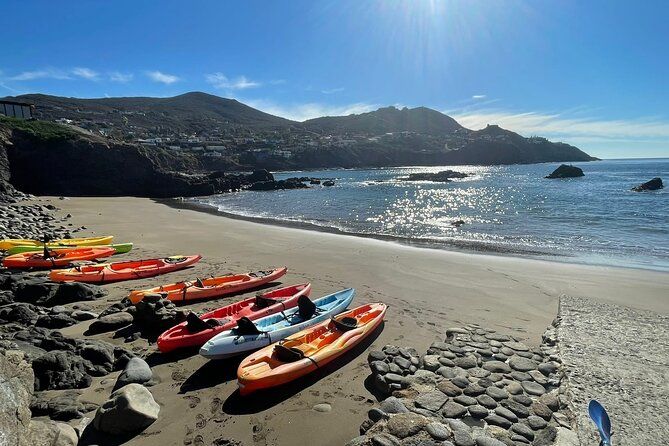 Shore Excursion: La Bufadora Blowhole Kayak Adventure + Market