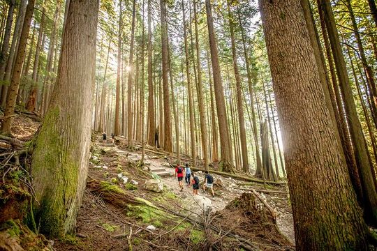 Guided Vancouver Hiking Highlights Day Tour with Gondola Download