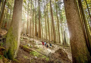 Guided Vancouver Hiking Highlights Day Tour with Gondola Download