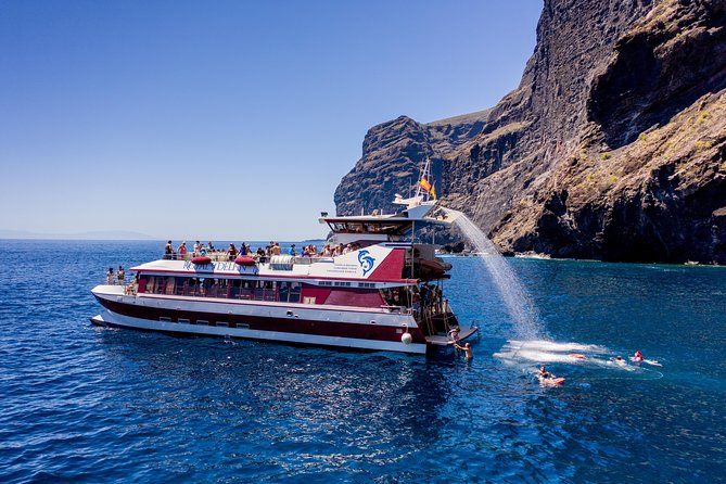 Dolphin and Whale Watching - Los Gigantes Masca - Lunch and Swim