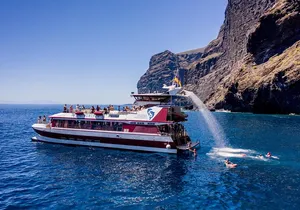 Royal Delfin - 4'5H Dolphin & Whale Watching - Los Gigantes Masca - Lunch & Swim