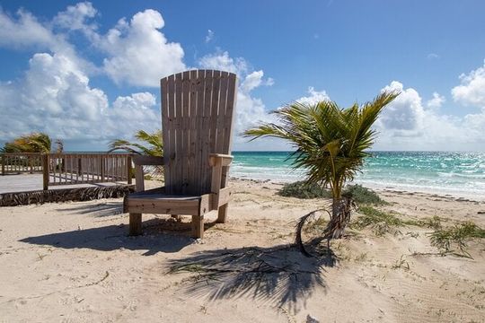 East End Private Day Tour Experience