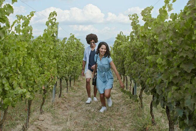 Toronto: Private Wine Tasting Tour in Niagara-on-the-Lake