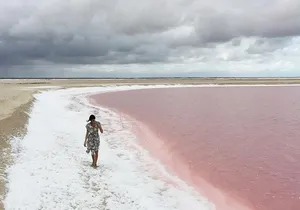 Las Coloradas and Explore Río Lagartos from Cancun